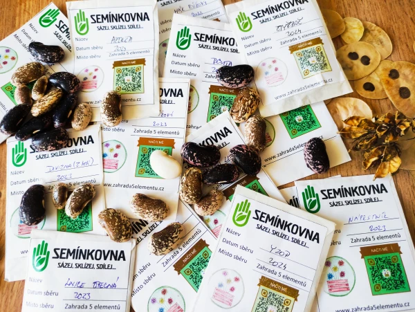 Akce KJM: Burza semínek se zakončením projektu Patron semínek