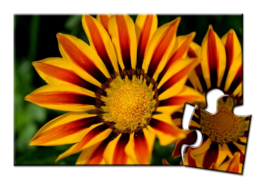 Akce KJM: Bystré oko