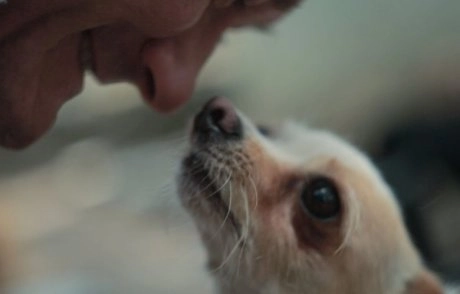 Akce KJM: Film: Vše si zaslouží žít