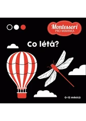 Kniha Co létá z knihovny Jiřího Mahena