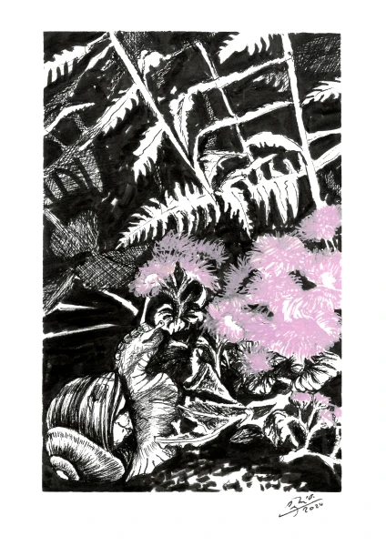 Akce KJM: Tajný život zahrad – kresby Olgy Čejkové