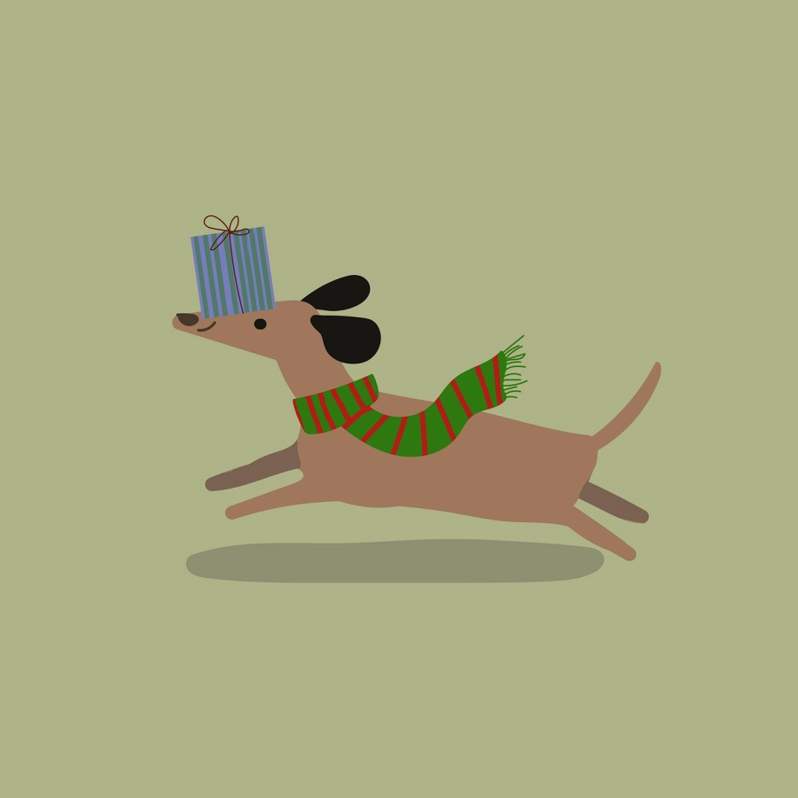 Akce KJM: Čip chce být na Vánoce doma