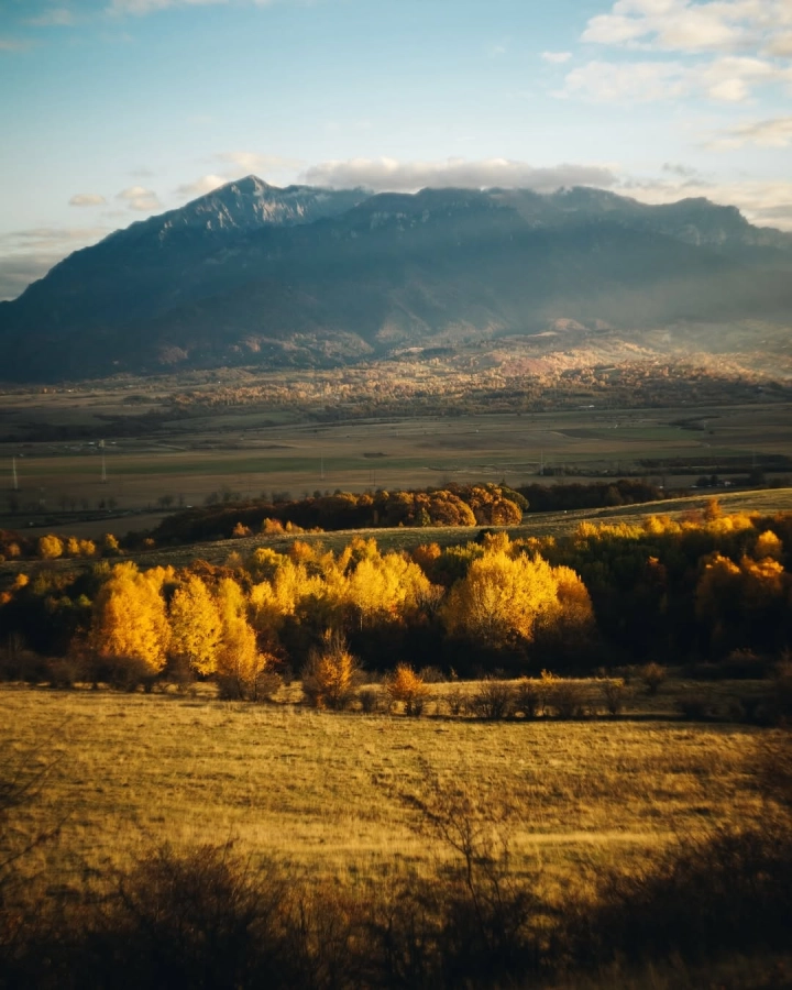 Akce KJM: Letem světem – umělci na Instagramu