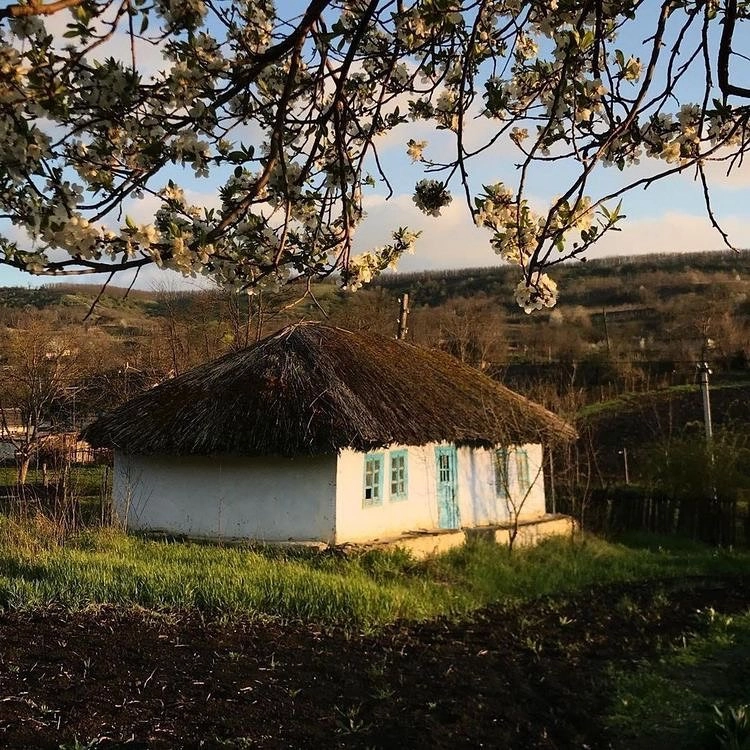 Akce KJM: Letem světem – umělci na Instagramu