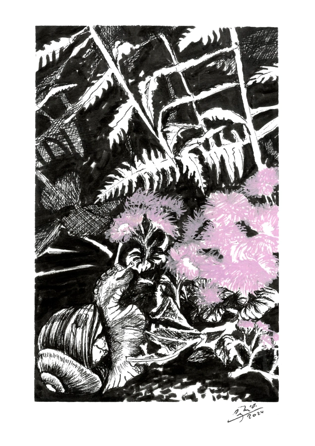 Akce KJM: Tajný život zahrad – kresby Olgy Čejkové