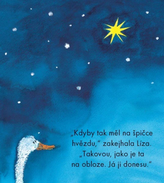 Akce KJM: Bookstart: Husa Líza a vánoční hvězda