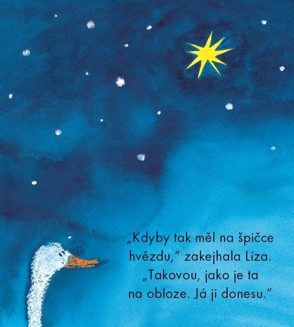 Akce KJM: Bookstart: Husa Líza a vánoční hvězda