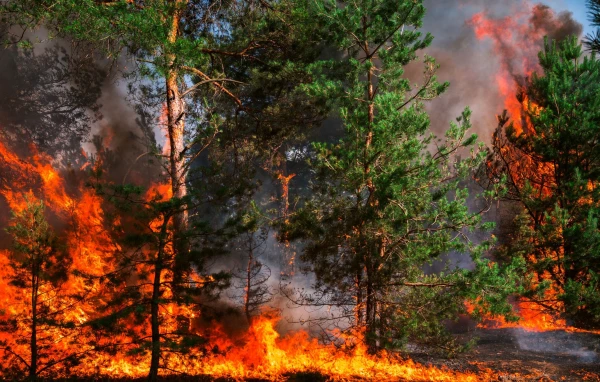 Akce KJM: Pavel Zahradníček: Mění se klima v ČR?