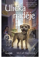 Kniha Ulička naděje z knihovny Jiřího Mahena