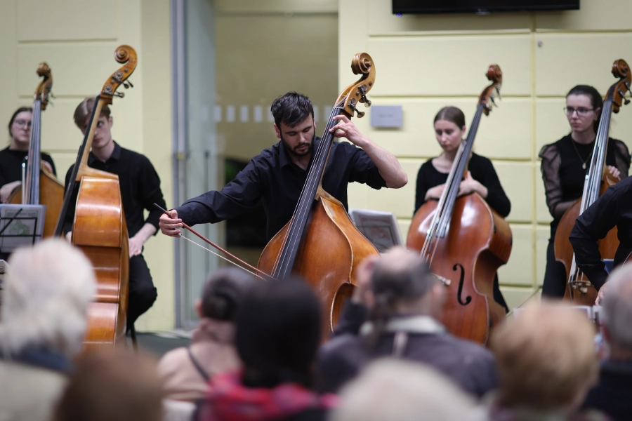 Akce KJM: Kontrabas – největší z rodu smyčců