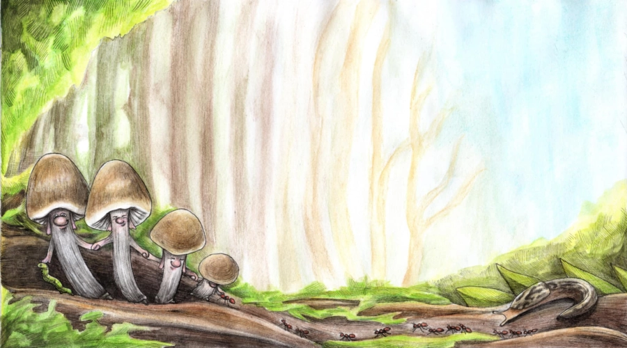 Akce KJM: Výstava: Kolodějové Zůzy Gerstnerové