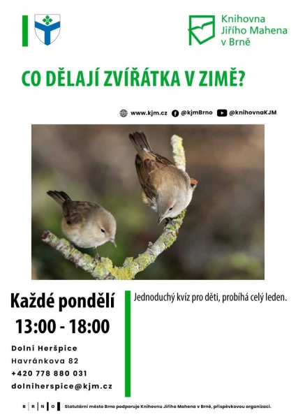 Akce KJM: Co dělají zvířátka v zimě?