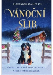 Kniha Vánoční slib z knihovny Jiřího Mahena