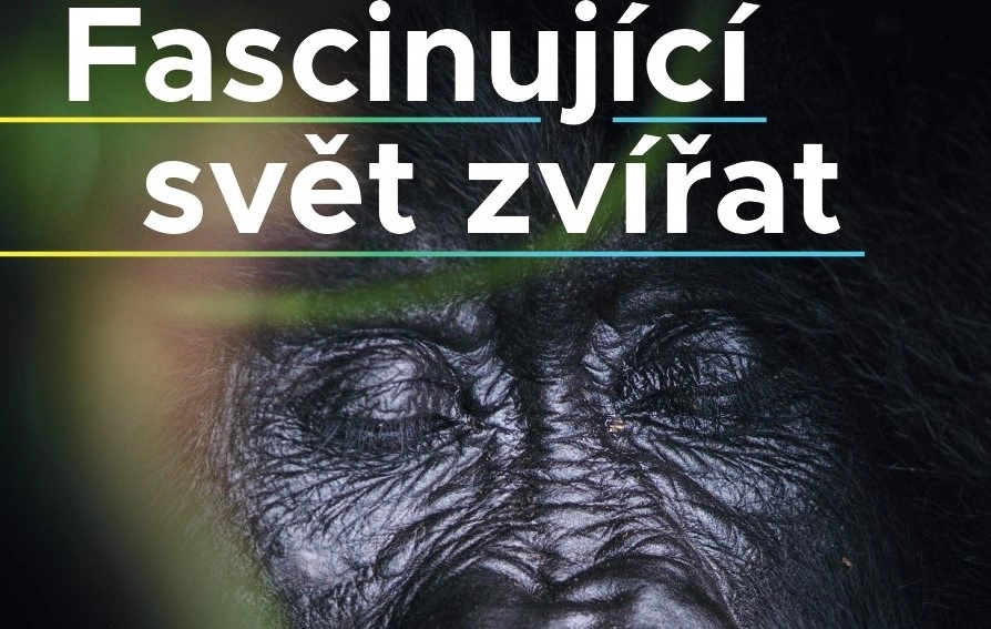 Akce KJM: Fascinující svět zvířat