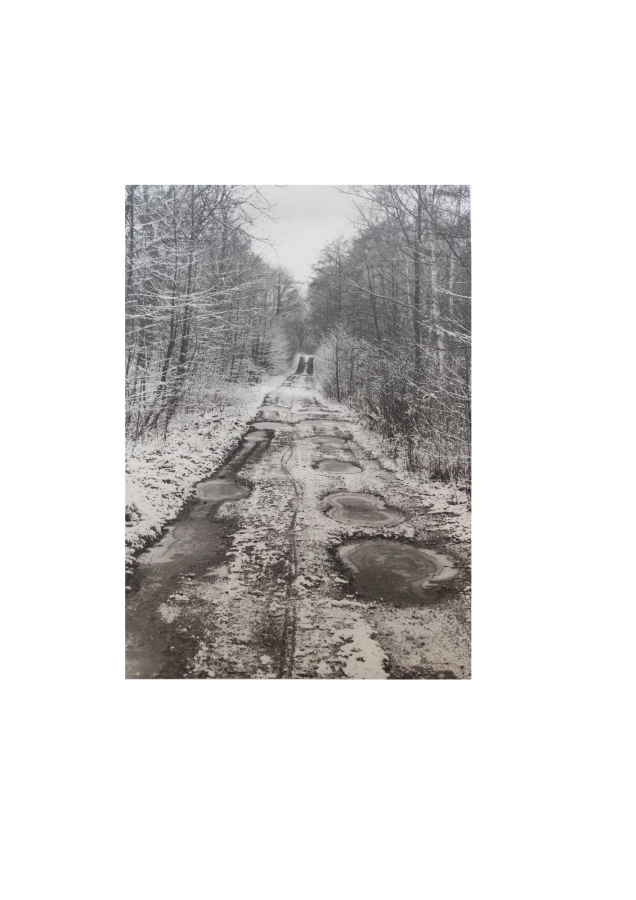 Akce KJM: Pavel Salák – Ztracená země