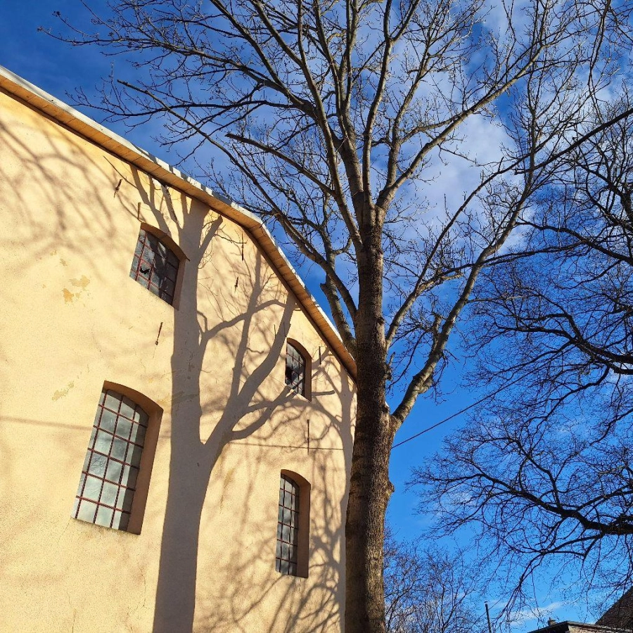 Akce KJM: Bartkův mlýn: jak se opravuje prvorepubliková technická památka