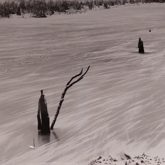 Akce KJM: Pavel Salák: Ztracená země