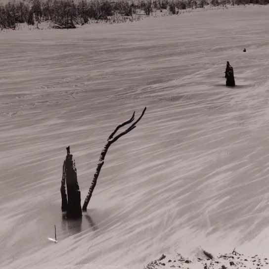 Akce KJM: Pavel Salák: Ztracená země