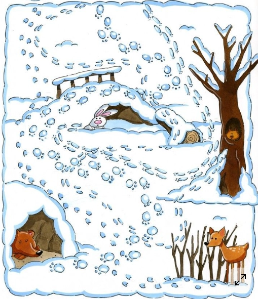 Akce KJM: Copak asi dělají zvířata v zimě?