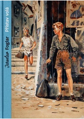 Kniha Přístav volá z knihovny Jiřího Mahena