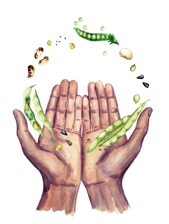 Akce KJM: Semínkovna – sázej, sklízej, sdílej