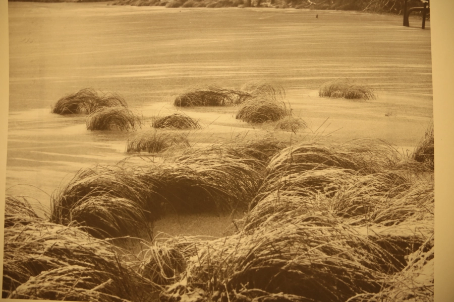 Akce KJM: Pavel Salák: Ztracená země