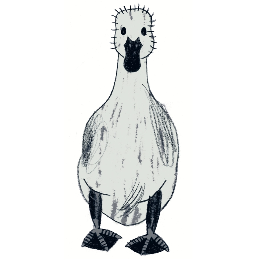 Akce KJM: O káčátku: divadelní představení pro (ne)slyšící děti a jejich rodiče