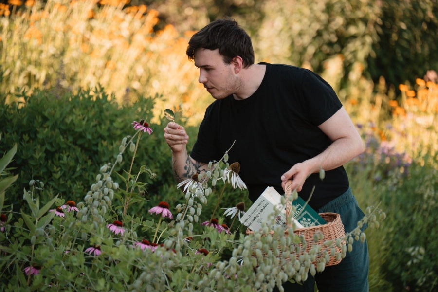 Akce KJM: Bylinky na imunitu a nachlazení