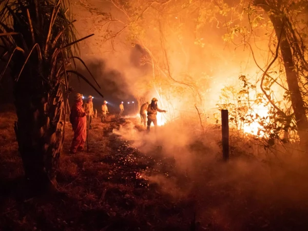Akce KJM: Promítání: Incendios