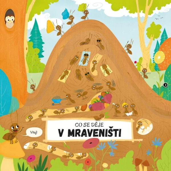 Akce KJM: Bookstart: Co se děje v mraveništi