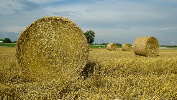 Akce KJM: Letní hrátky