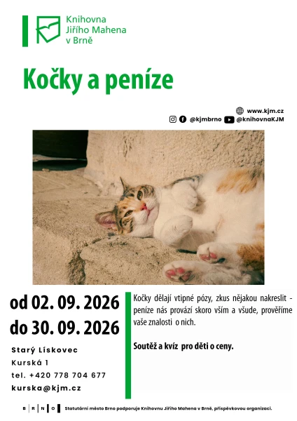 Akce KJM: Kočky a peníze