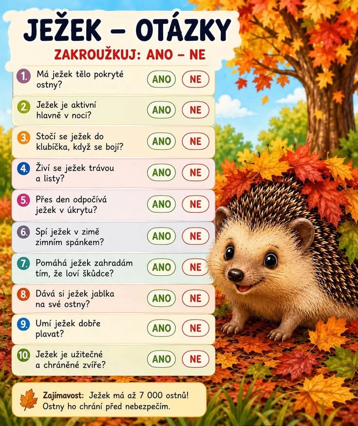 Akce KJM: Pracovní list s podzimní tematikou