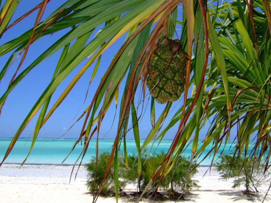 Akce KJM: Cestovatelský rok – Zanzibar