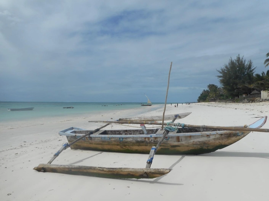 Akce KJM: Zanzibar
