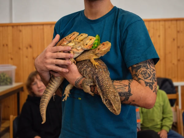Akce KJM: Svět exotických zvířat