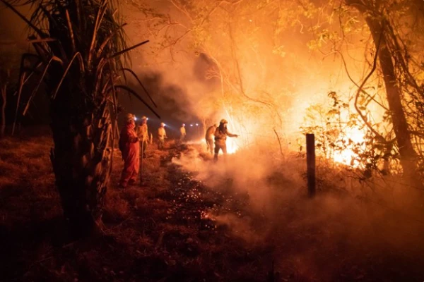 Akce KJM: Film: Incendios