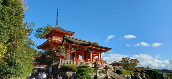Akce KJM: Japonsko