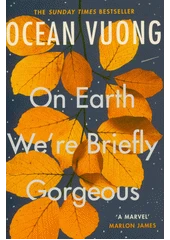 Kniha On Earth we're briefly gorgeous z knihovny Jiřího Mahena
