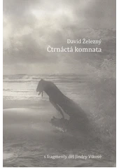 Kniha Čtrnáctá komnata z knihovny Jiřího Mahena