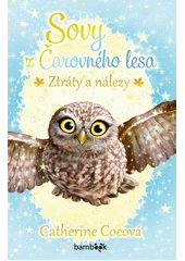 Kniha Sovy z Čarovného lesa z knihovny Jiřího Mahena