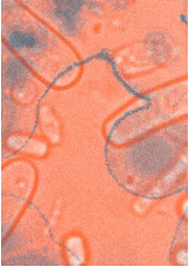 Kniha Činoherní Ústí ve znamení kovadliny z knihovny Jiřího Mahena