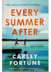 Kniha Every summer after z knihovny Jiřího Mahena