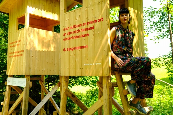 Akce KJM: Křižovatka Střed – „Ropucha na konci temnoty“