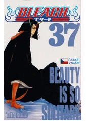 Kniha Bleach z knihovny Jiřího Mahena