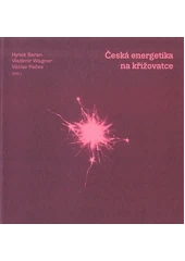 Kniha Česká energetika na křižovatce z knihovny Jiřího Mahena