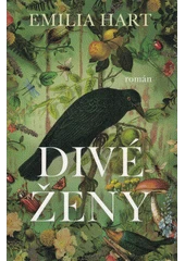 Kniha Divé ženy z knihovny Jiřího Mahena