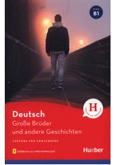 Kniha Große Brüder und andere Geschichten z knihovny Jiřího Mahena