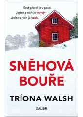 Kniha Sněhová bouře z knihovny Jiřího Mahena