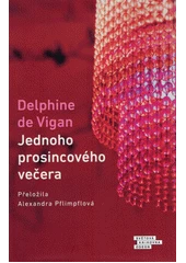 Kniha Jednoho prosincového večera z knihovny Jiřího Mahena